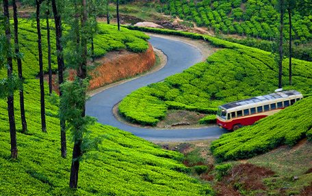 munnar_p