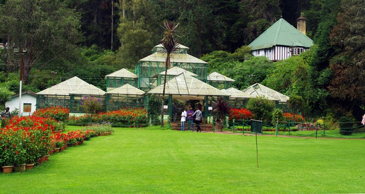 ooty1